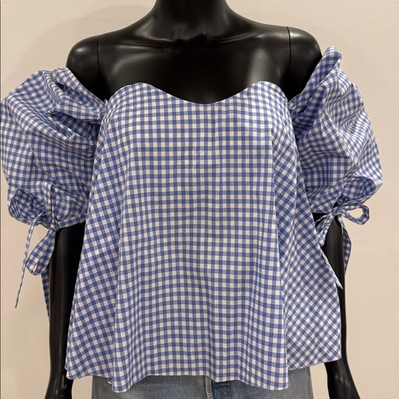 Caroline Constas Gingham Corset Off-Shoulder Top S Bergdorf Goodman Never Worn - Picture 4 of 12